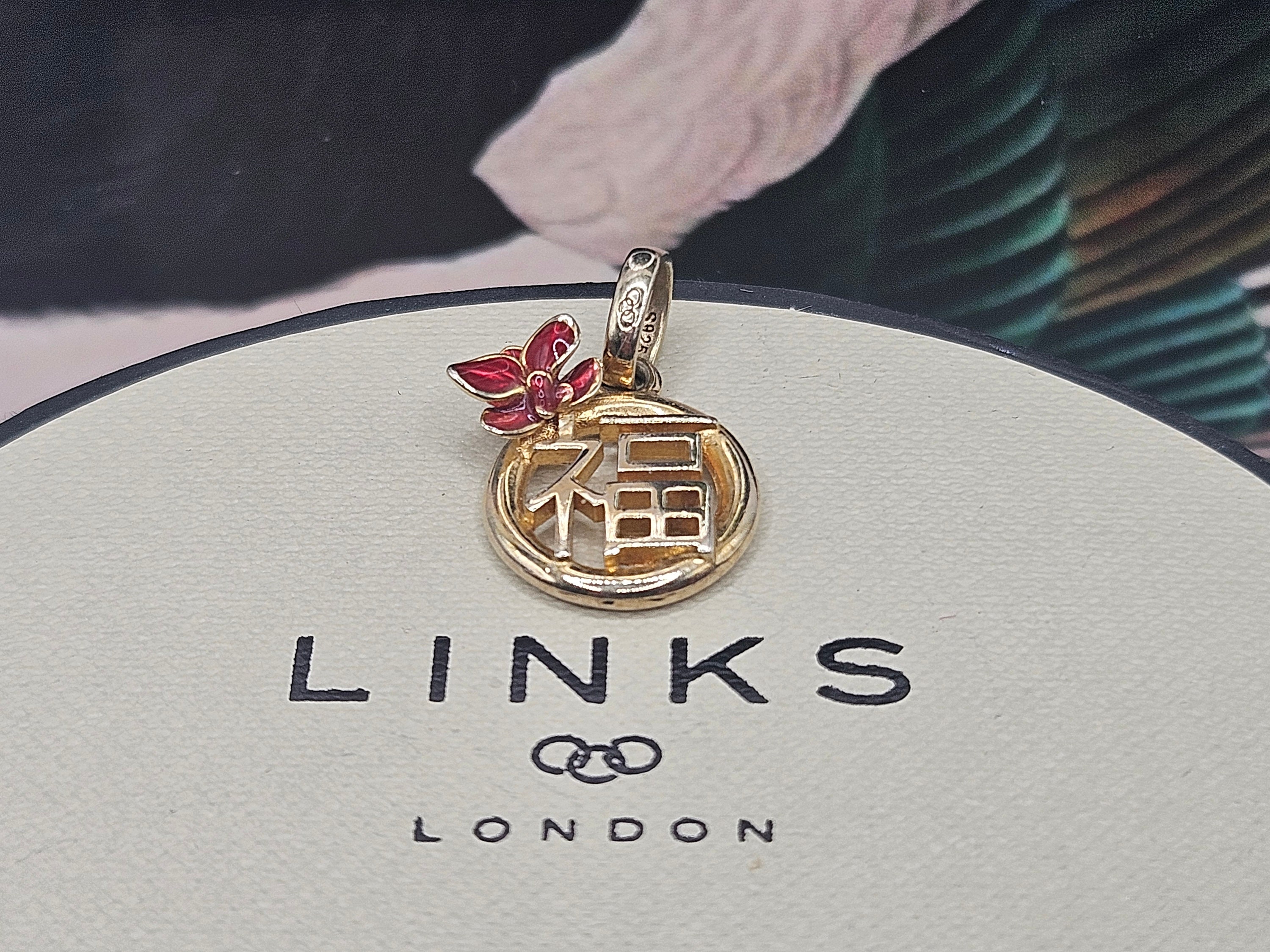 Links of London Charms Rare - Etsy
