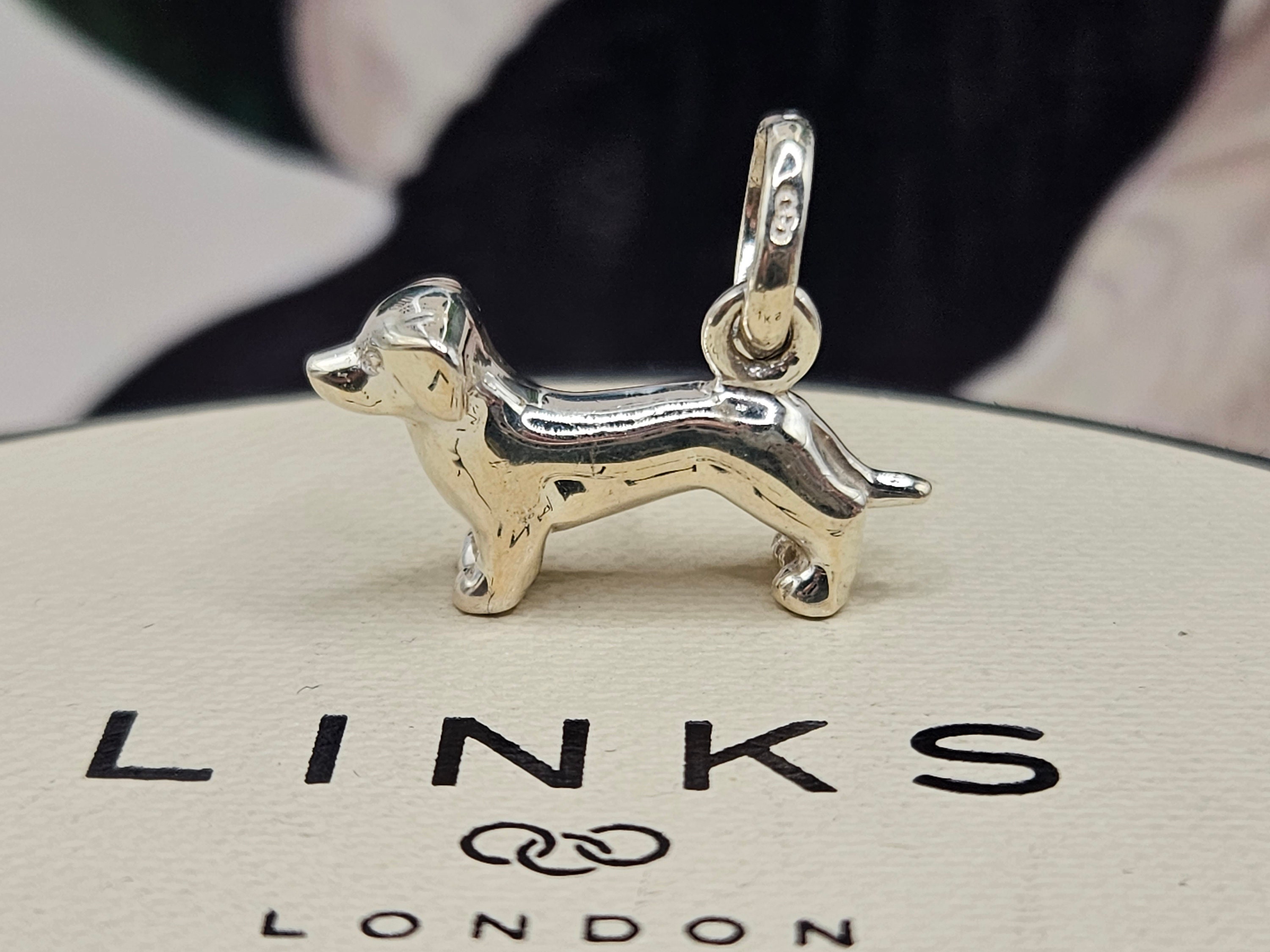 Links of london dog best sale charm