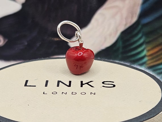 Links of london dragonfly charm hot sale