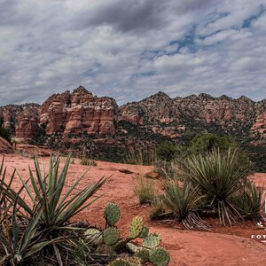 Sedona Arizona desert landscape with cactus wall art poster decor
