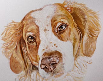 Benutzerdefinierte Tierporträts | Erinnerungs-Tierportraits in Aquarell | 11x14 Zoll oder 10x10 oder 11x14 Zoll