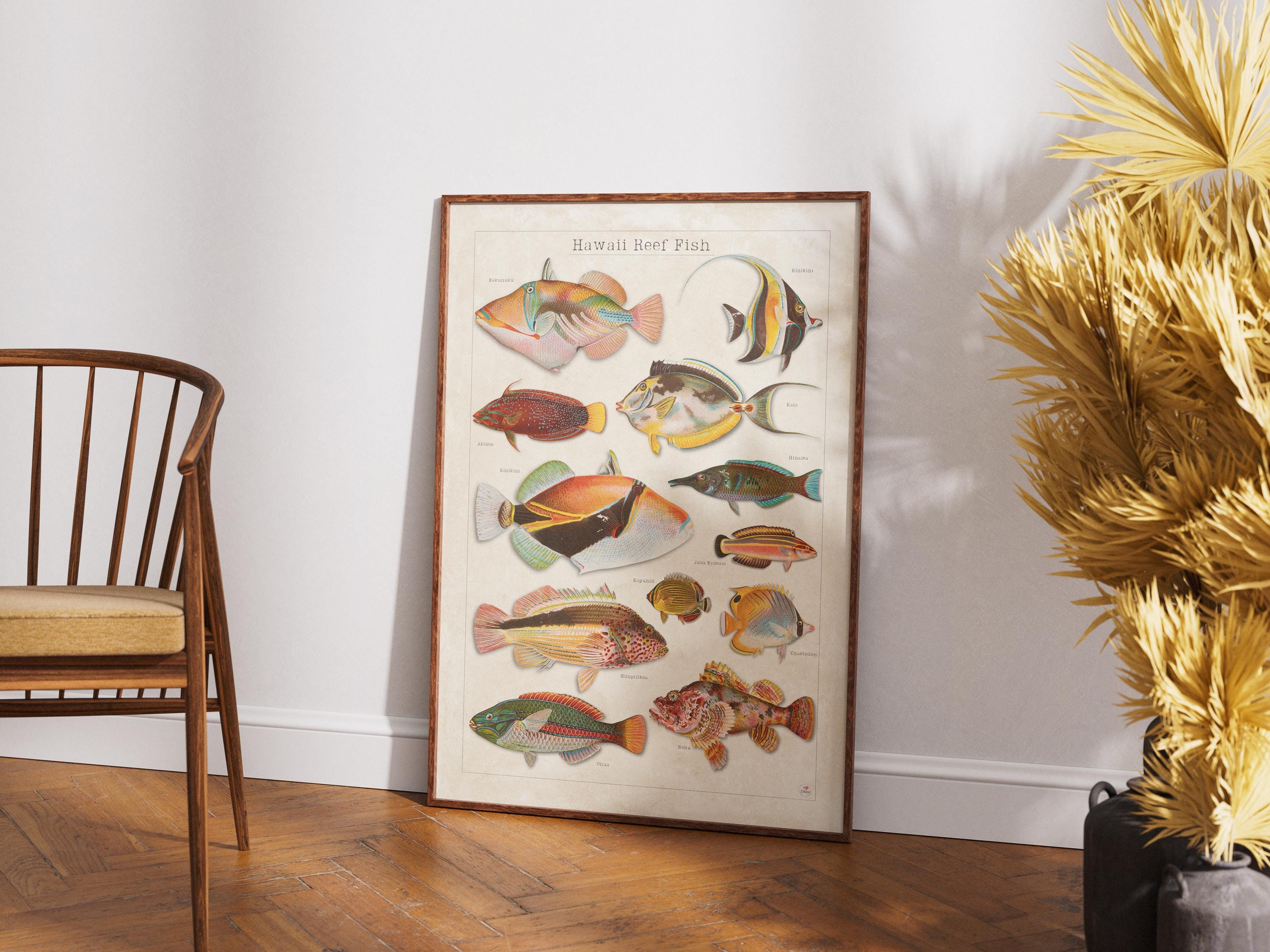 Fish of Hawaii Poster - Etsy