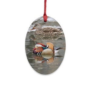 Mandarin Duck Hanging Ornament | Mandarin Duck Magnet | Duck Wood Ornament | Duck Home Decor | Duck Lover Gift | Mandarin Duck Photo