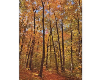 Fall Forest Canvas Wall Art | Autumn Forest Photo Print | Colorful Fall Landscape Photo Print | Autumn Trees Wall Decor | Autumn Home Decor