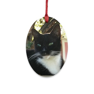 Tuxedo Cat Hanging Ornament | Black and White Cat Ornament | Black Cat Magnet | Tuxedo Cat Magnet | Cat Stocking Stuffer | Cat Wood Decor