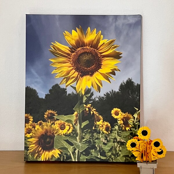 Sunflower in Sunshine Wall Art Decor Canvas Printing