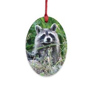 Raccoon Christmas Ornament | Raccoon Wood Christmas Decoration | Raccoon Magnet | Raccoon Hanging Ornament | Raccoon Stocking Stuffer Idea