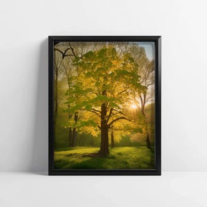 Tulip Poplar Tree Art – Liriodendron tulipifera Digital Print, Golden Light Forest Poster, Spiritual Nature Wall Decor
