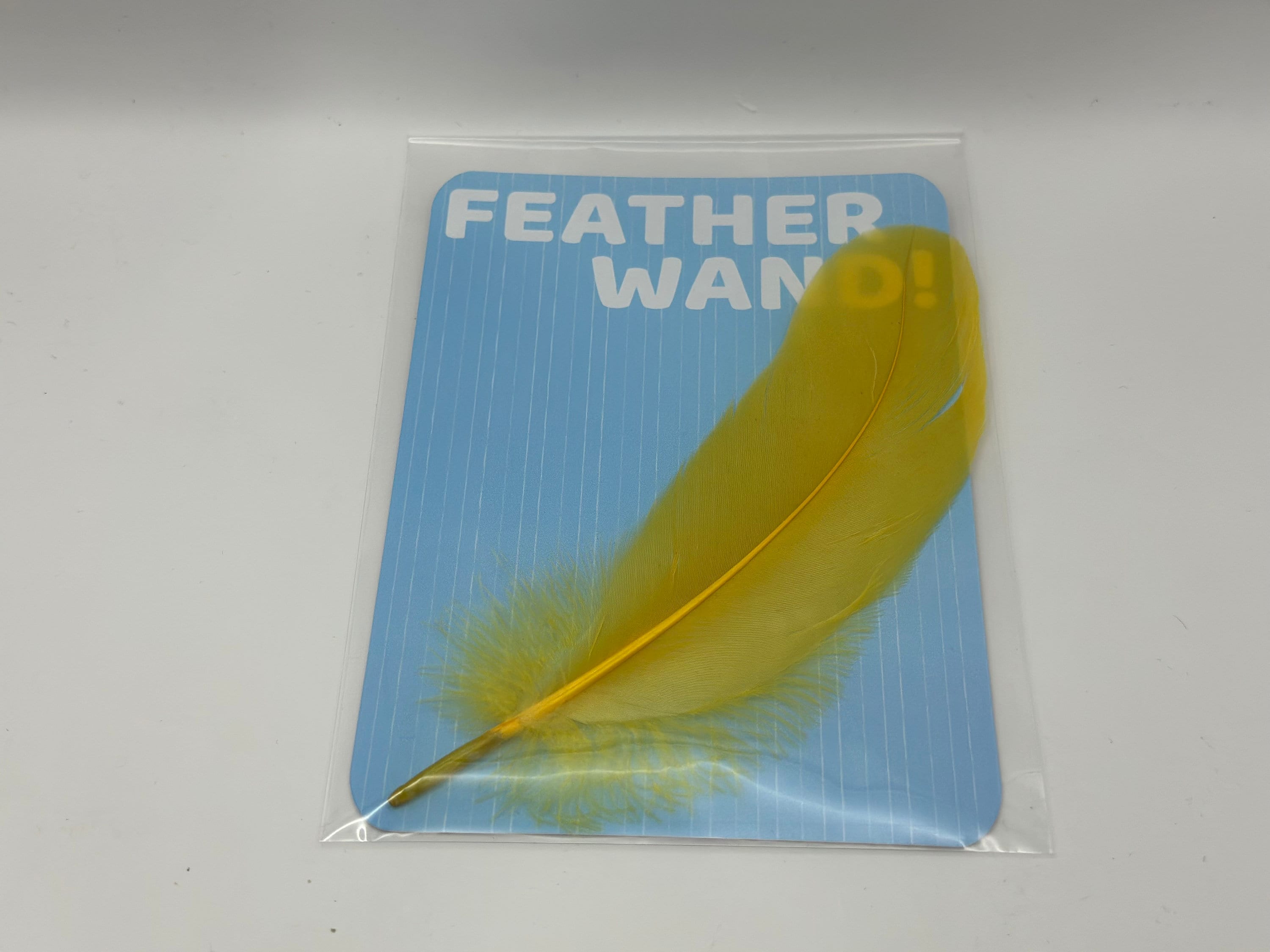 Bluey Longdog Party Pack Favors