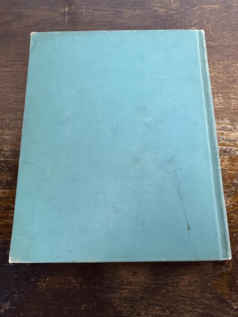 Puede incluir: Un libro de tapa dura de color azul verdoso con una portada lisa.