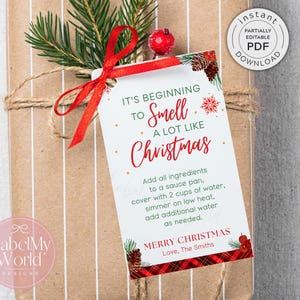 Printable Christmas Stovetop Potpourri Gift Tag, Holiday Simmering Potpourri Bag Tags (PDF Download)