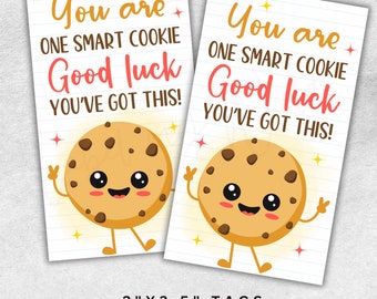 Ein Smart-Cookie-Test-Tag, Test-Motivations-Geschenkanhänger zum Ausdrucken, Klassenzimmer-Viel Glück, dass Sie diesen Snack-Tag haben, Sofortiger Download als PDF