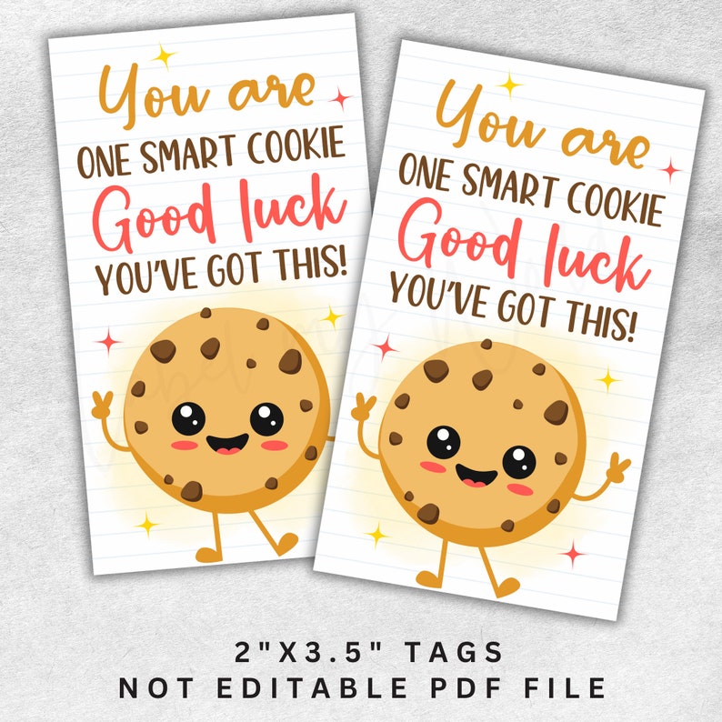 One Smart Cookie Test Tag, Test Taking Motivation Printable Gift Tag, Classroom Good Luck You've Got This Snack Tag, Instant Download PDF