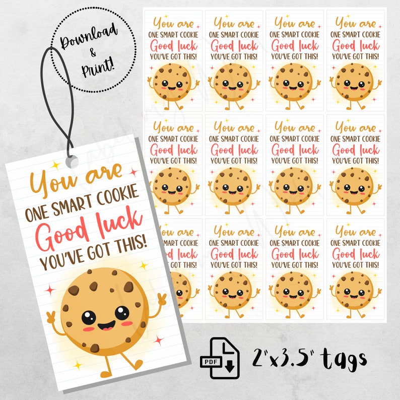 Ein Smart-Cookie-Test-Tag, Test-Motivations-Geschenkanhänger zum Ausdrucken, Klassenzimmer-Viel Glück, dass Sie diesen Snack-Tag haben, Sofortiger Download als PDF Bild 2