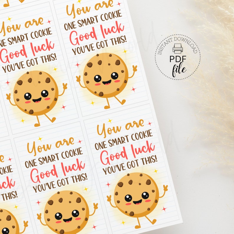 You Are One Smart Cookie Good Luck You've Got This Gift Tag PDF