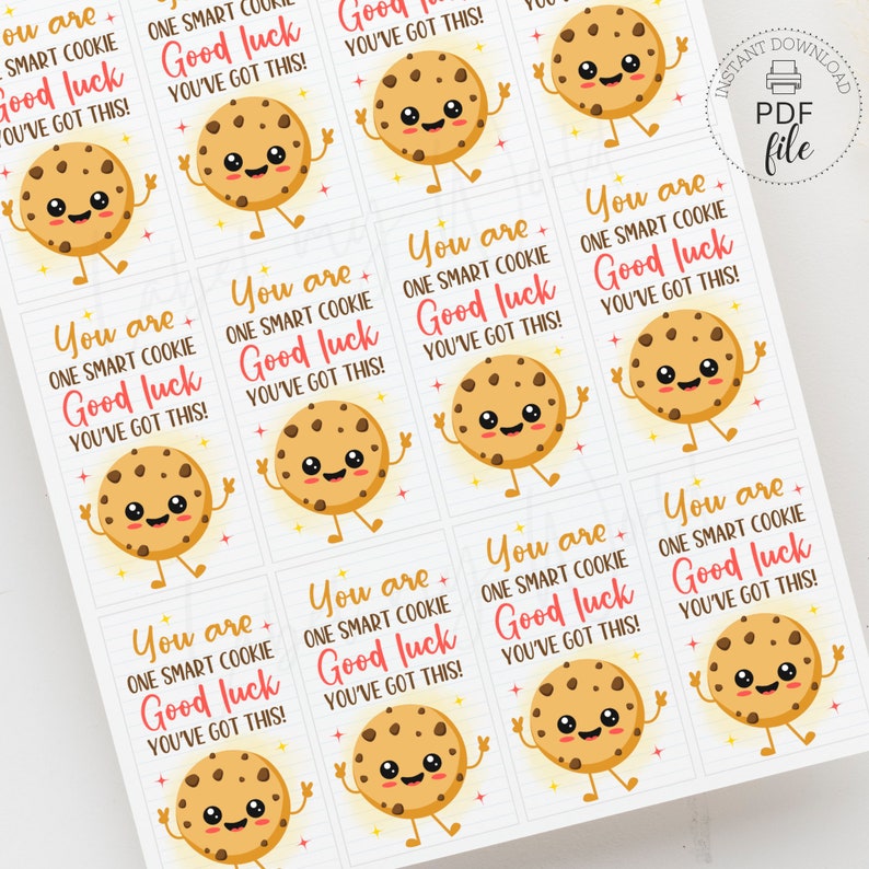 You Are One Smart Cookie Good Luck You've Got This Testing Day Gift Tag PDF