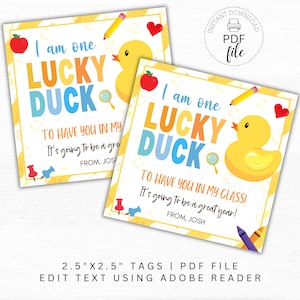 Printable One Lucky Duck Back to School Tags, Happy First Day of School Gifts, Personalized Classroom Favor Tag 2.5x2.5 Instant Download PDF