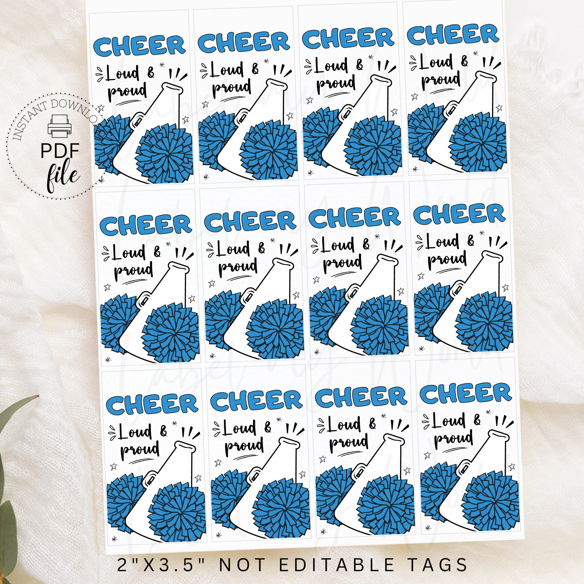 Cheer Backpack Tags Gift Tags Cheer Bag Tag Cheerleading Tag Cheerleader Party Favor Cheer ...
