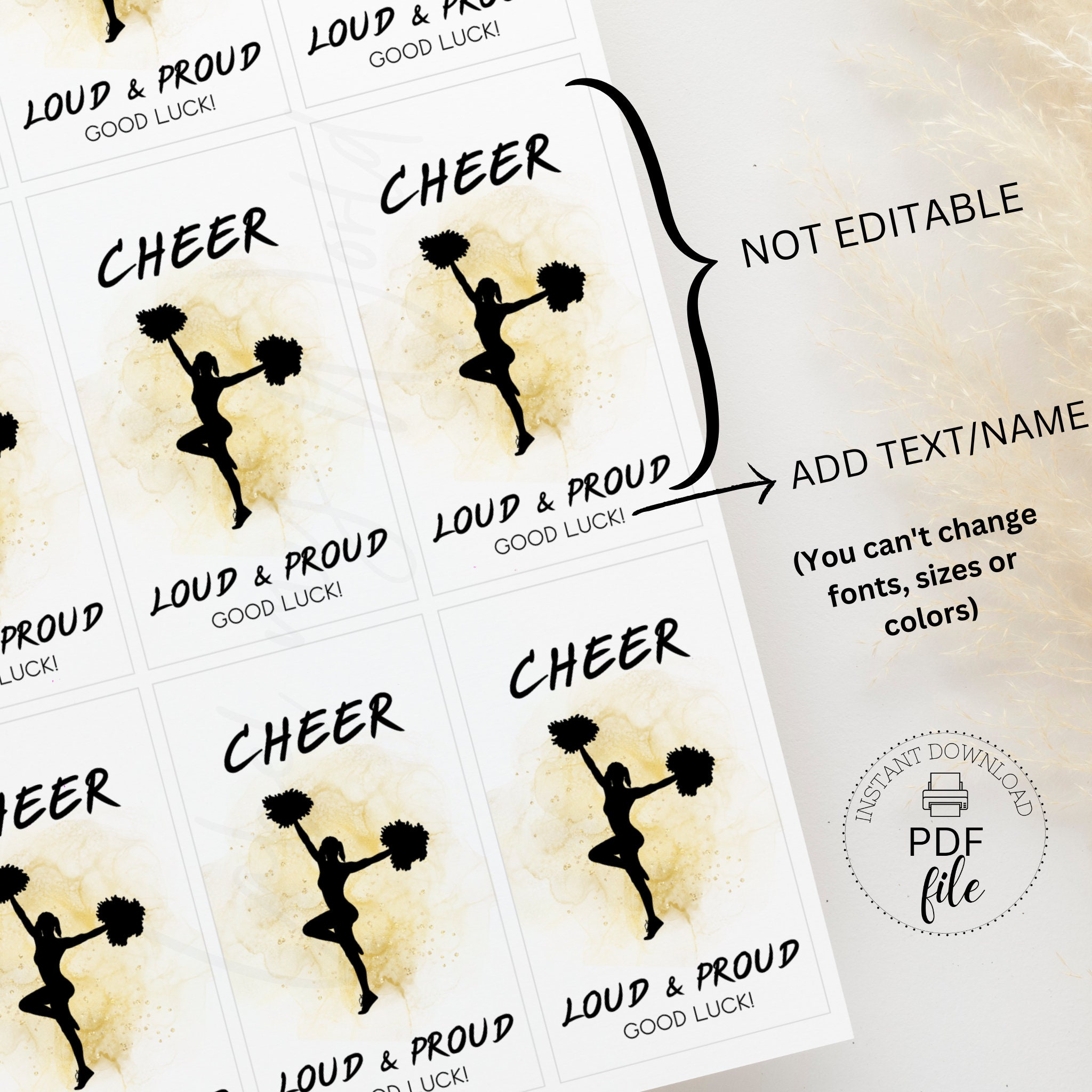 Printable Cheerleading Team Good Luck Gift Tags, Personalized Cheer ...