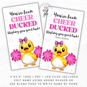 Étiquette-cadeau rose imprimable You've Been Cheer ducked en vous souhaitant bonne chance, étiquette cadeau personnalisée pom-pom girl 2 x 3,5, téléchargement immédiat PDF + JPG