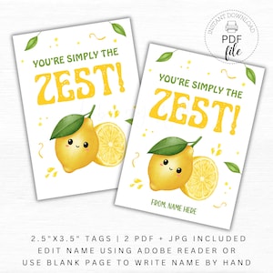 Etiqueta de regalo imprimible &quot;You&#39;re Simply the Zest&quot;, etiqueta personalizada de agradecimiento para empleados y maestros, etiqueta de recuerdo de limón, descarga instantánea en PDF + JPG