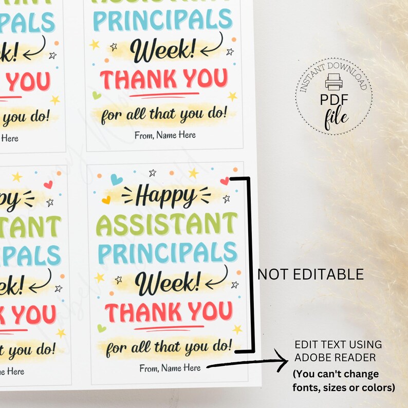 Op de afbeelding: Printbare bedankkaartjes voor de week van de assistent-directeuren. De kaartjes zijn kleurrijk en bevatten de tekst "Happy Assistant Principals Week! Thank You for all that you do!" met een ster- en hartdesign. De tekst "From, Name Here" staat onderaan het kaartje.
