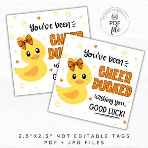 May include: Two printable gift tags featuring a yellow rubber duck with an orange bow. The text on the tags reads "You've been Cheer Ducked" and "Wishing you... Good Luck!" The tags are 2.5 inches by 2.5 inches.