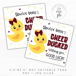 May include: Two 2.5 inch by 2.5 inch printable gift tags featuring a yellow rubber duck with a red bow. The text on the tags reads "You've been Cheer Ducked Wishing you... Good Luck!"