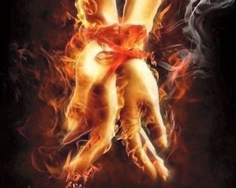 Twin Flame