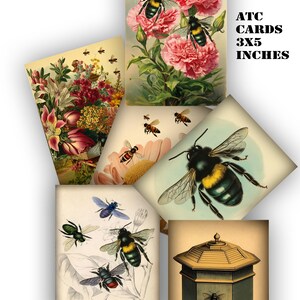 afdrukbare atc Bijencollagekaarten efemere voor junk tijdschriften, plakboeken kunstprojecten en kaarten maken elke kaart is 3 x 5, geweldig voor kunstprojecten