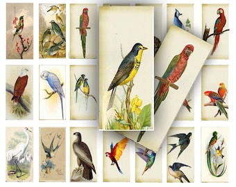 Hojas de collage de pájaros vintage para imprimir y descargar, ideales para diarios, proyectos de manualidades, dominó y joyería.