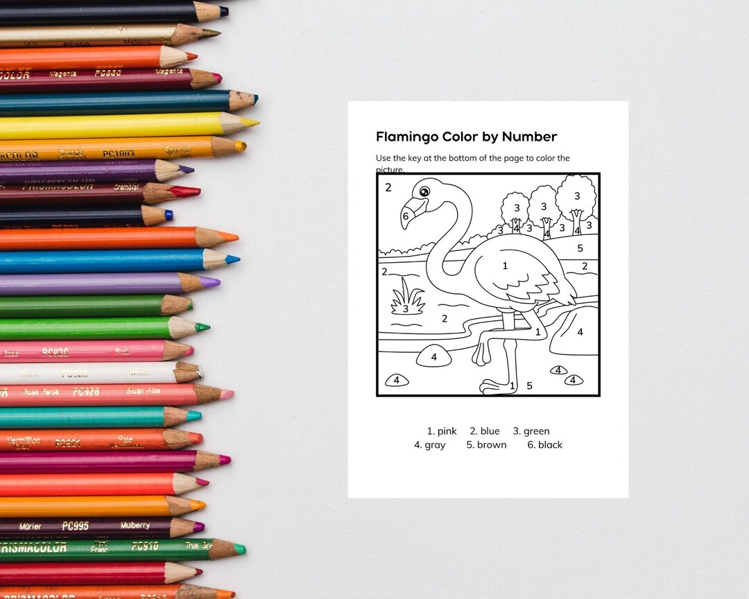 Feuille de coloriage de flamant rose pour les enfants Page de coloriage