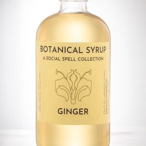 Natural ginger syrup bottle with black cap on pastel teal background; label reads Botanical Syrup Ginger
