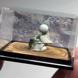 May include: A small, light-colored mineral specimen, possibly a geode, displayed in a clear acrylic case. The mineral has a textured, organic appearance with shades of white, gray, and green. It rests on a wooden base, and the case is held by a hand.