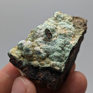 Super Rare Kidwellite, Strengite, Beraunite Combo -York Mine, Polk Co, Arkansas