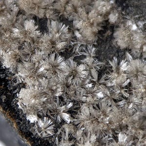 May include: A mineral specimen featuring clusters of delicate, needle-like white crystals arranged in radial, star-shaped formations. These translucent, fibrous crystal sprays are densely packed across the surface of a dark, textured rock matrix.