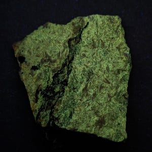 May include: A glowing green rock sample with a rough, textured surface and dark black veins. The rock has a unique, irregular shape and is set against a dark background, highlighting its vibrant color and natural patterns.