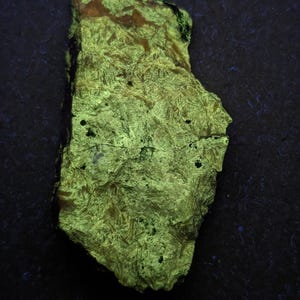 May include: A glowing, irregularly shaped mineral specimen with a textured surface. The rock has a vibrant, neon green hue with darker spots and a brown top. The background is a dark, textured surface.