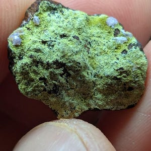 May include: A close-up of a mineral specimen. The rock has a rough, textured surface with a vibrant green hue, accented by small, light-colored crystal formations. The edges are a darker brown.