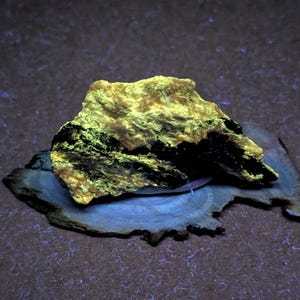 May include: A piece of rock with a yellow and black color scheme. The rock is sitting on a piece of wood. The background is a dark brown color.