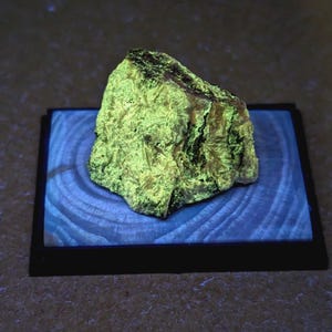 May include: A glowing, textured rock specimen with a vibrant green hue, resting on a blue, circular-patterned base with a black border. The rock's surface has dark patches, creating contrast. The overall presentation suggests a geological or mineral specimen.