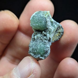May include: A close-up of a mineral specimen held in a hand. The specimen features clusters of small, spherical, light green formations. The base of the mineral is a darker gray color, with a small, fan-like, dark brown and gold section.