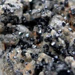 May include: Close-up of a mineral specimen featuring clusters of small, shiny, black crystals embedded in a matrix of light gray and beige rock. The crystals have a geometric shape, reflecting light.