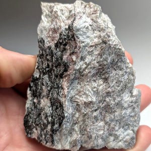 May include: A rough, textured rock sample with a mix of gray, white, and black colors. The mineral specimen has a layered appearance and is held in a hand, showcasing its natural form and detail.
