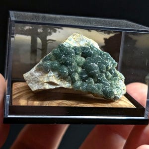May include: A dark green mineral specimen with a bubbly texture, displayed in a clear, black-framed case. The mineral sits on a wooden base, showcasing its natural form and color variations. The case is held by a hand.