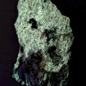 May include: A close-up of a mineral specimen with a rough, textured surface. The rock is primarily light green with dark black and purple patches. The background is black, highlighting the mineral's unique color and texture.