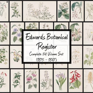 Edward's Botanical Register ~ Complete 34 Volume Set ~ 1815 - 1847 ~ PDF Download ~ Illustrated Horticultural Botany Magazine eBook
