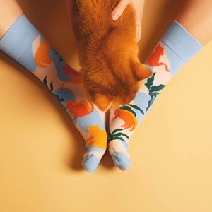 Pode incluir: Um par de meias azuis com um design de estampa de gato colorido. As meias são usadas por uma pessoa e um gato ruivo está sentado nas pernas da pessoa.