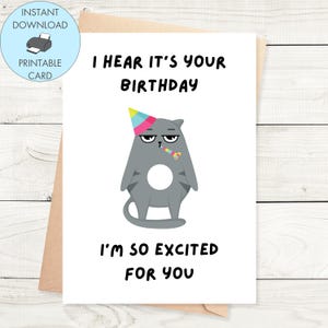 Cartão de aniversário de gato mal-humorado para impressão, cartão de aniversário de gato engraçado para amantes de gatos Download instantâneo cartão de aniversário engraçado, cartão de aniversário para ele ela