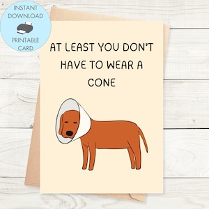 Imprimible Get Well Soon Card Funny Get Well Soon Card para los amantes de los perros Descarga instantánea Get Well Soon Card, perro imprimible en tarjeta de cono divertido